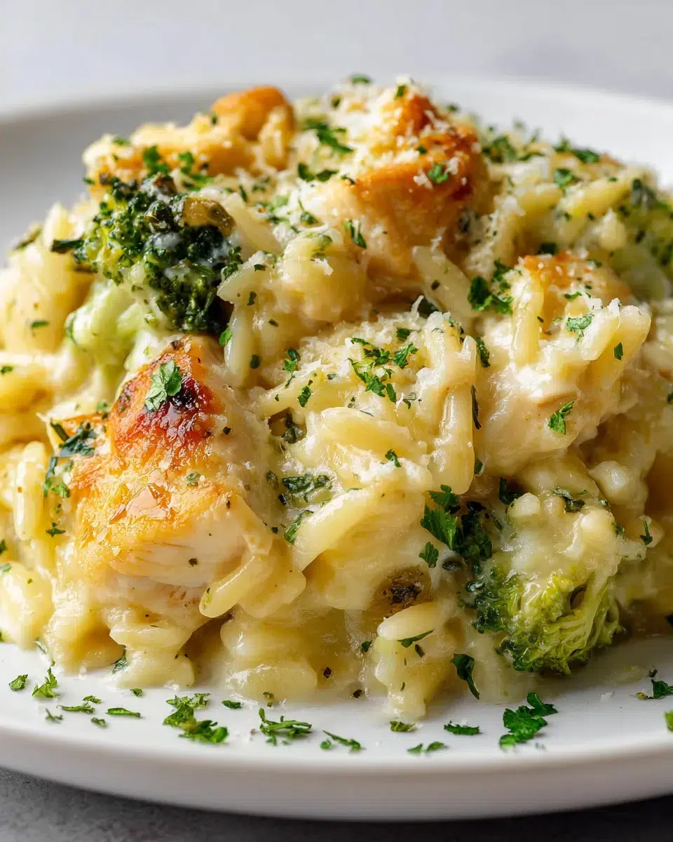cheesy chicken broccoli orzo bake ingredients 1